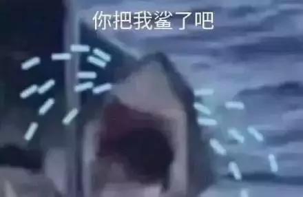 我这半年用光的哪是空瓶，是宝藏啊！