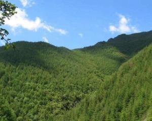 固原市简介概况,宁夏固原市简介