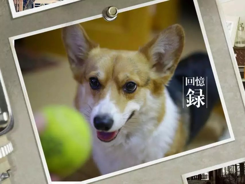 从十元到百元,从十块钱到一百块钱