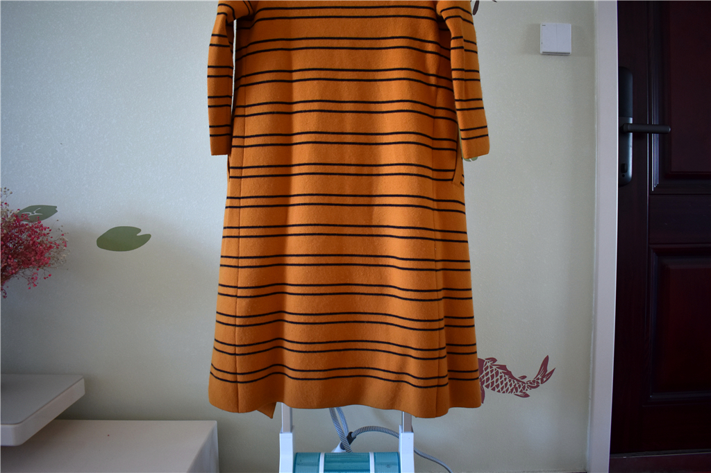 卓力智能增压挂烫机bg538pl,卓力bg546挂烫机