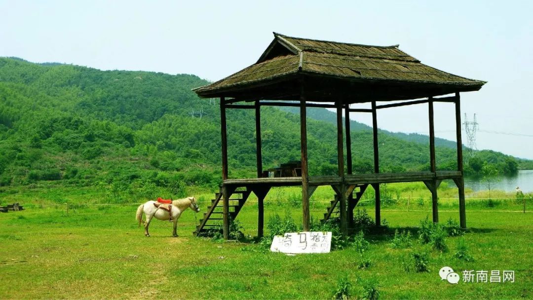 南昌春游最值得去的景点有哪些,南昌五一最美景点