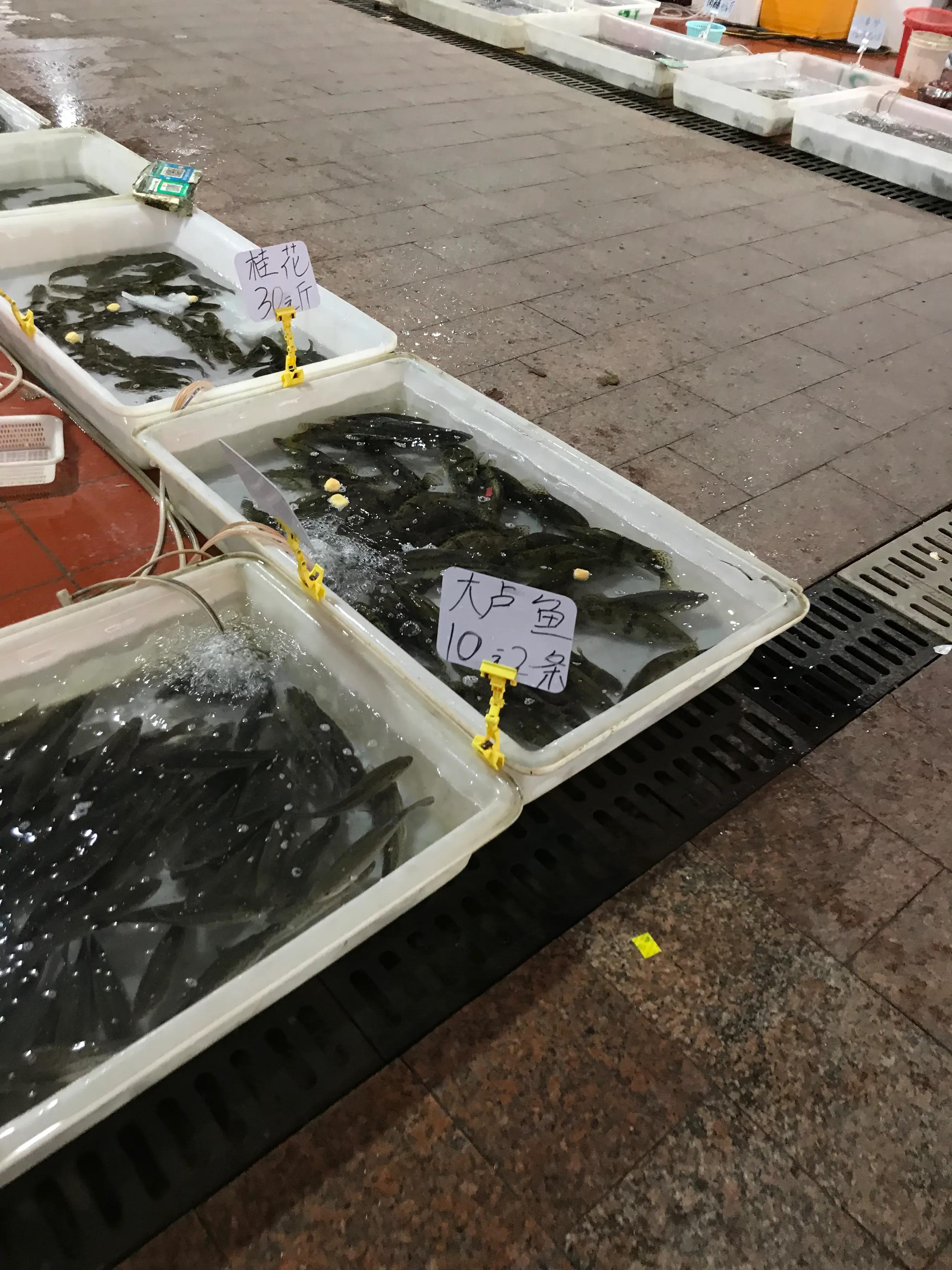 广州荔塱农贸批发市场,芳村荔塱菜市场