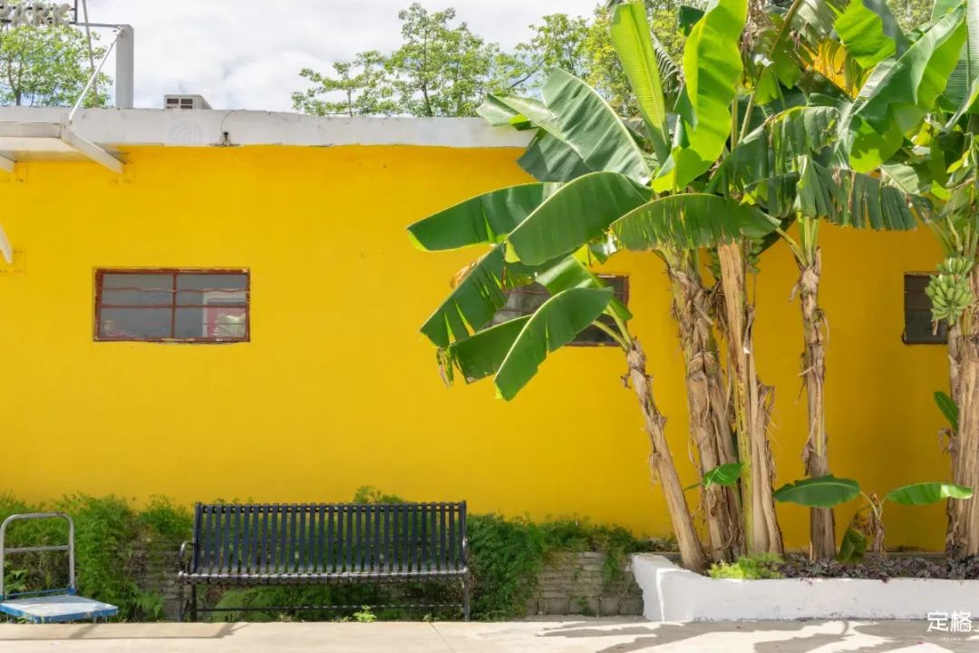 深圳十大避暑基地,深圳附近避暑地方有哪些景点