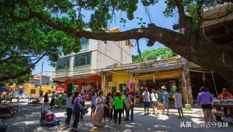 文艺和文艺的碰撞,清远白庙渔村风情