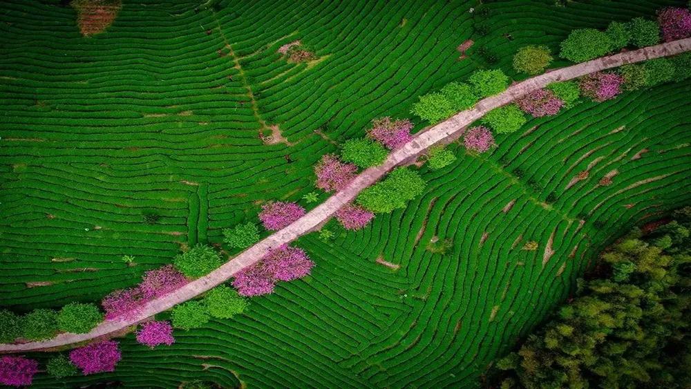 如果2月可以畅快出行，我真想走遍国内这9个地方