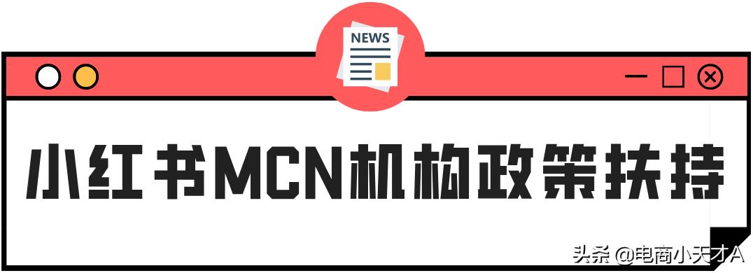 小红书蒲公英mcn入驻,小红书mcn机构运营