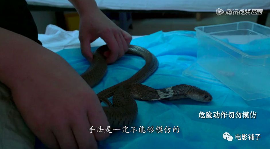 如此「变态」的欲望,这届有钱人真猛