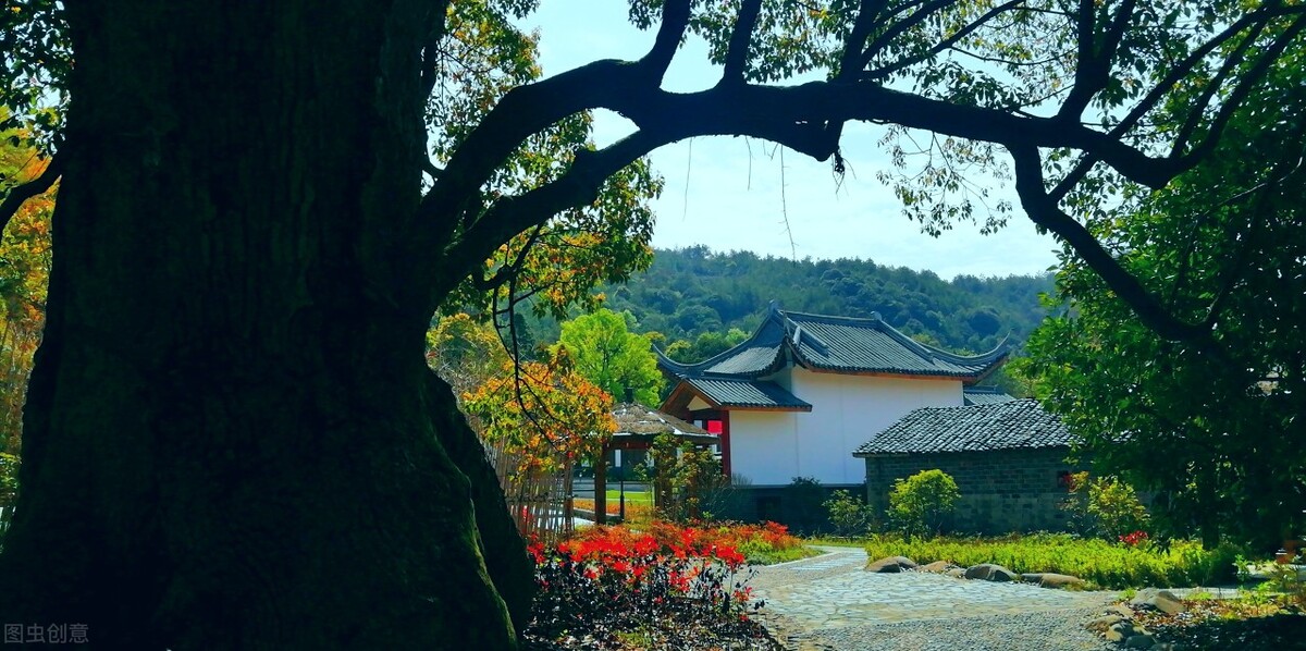 世界前十强创新公司,中国唯一进入世界前10的创新公司