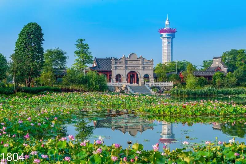 vr直播24小时,vr直播预告