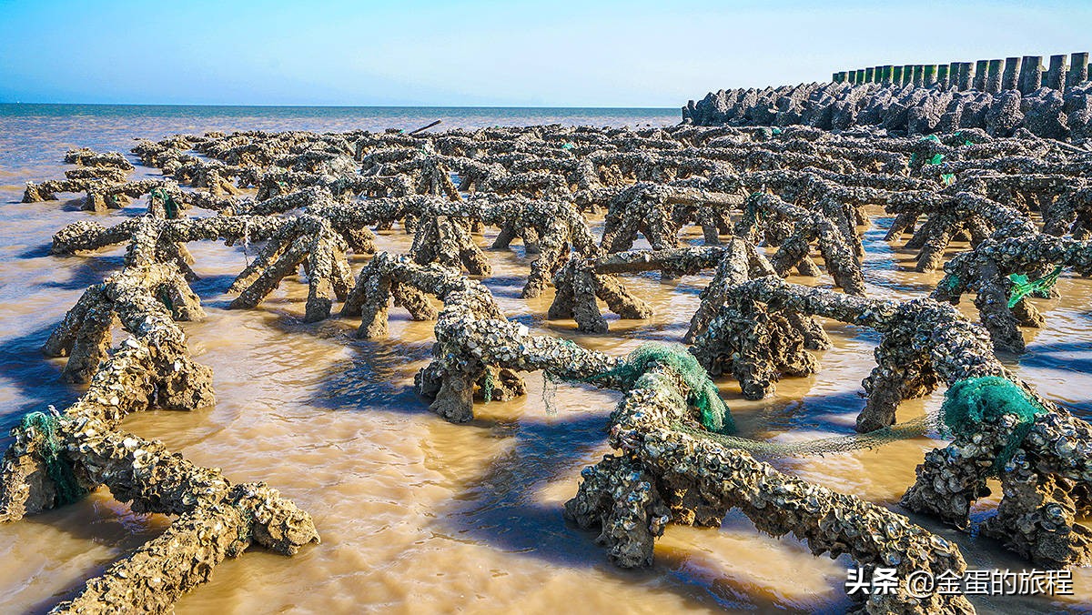 上海奉贤周末带娃好去处10岁左右,上海奉贤周末遛娃好去处推荐