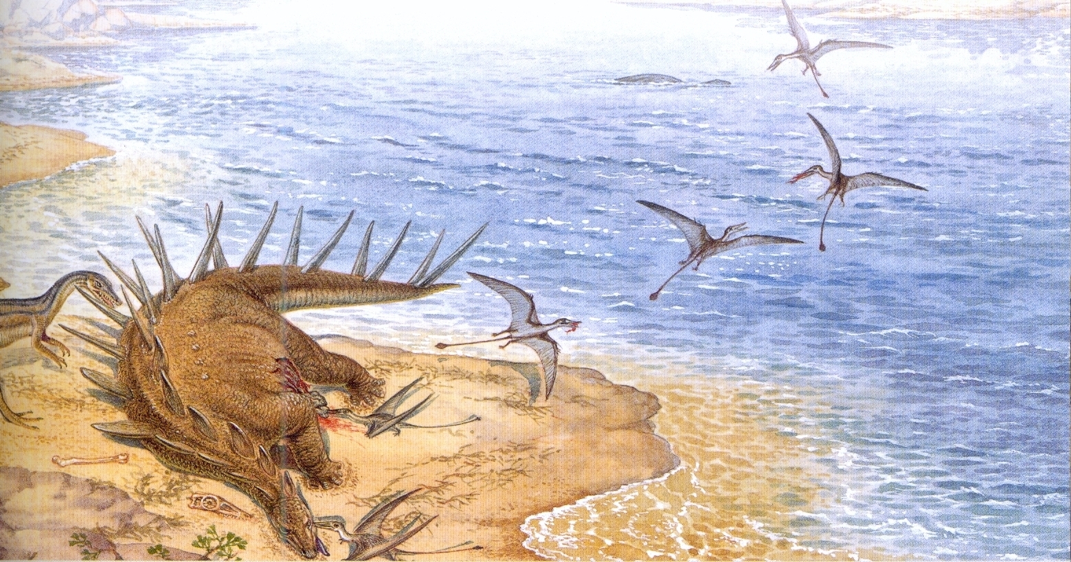 恐龙是如何灭绝的通关,恐龙是如何灭绝的300字