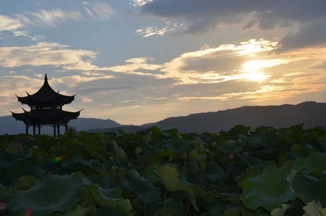 倪海厦看诊讲座视频,倪海厦问诊心得