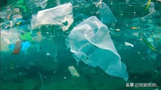 英国物理学家把生物能转化为动能,科学家将塑料转化为钻石