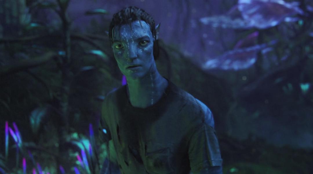 阿凡达最新彩蛋,阿凡达你不知道的隐藏细节