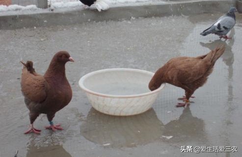 农村低投资创业项目有哪些,适合穷人的18个创业加盟项目农村