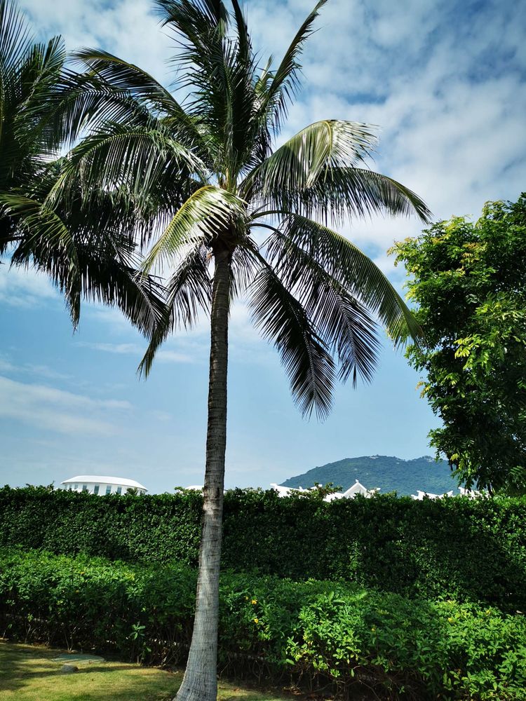 三亚冲浪旅行攻略,去三亚旅游看海