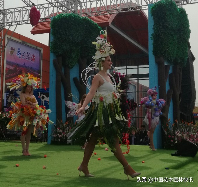 荷兰花海花艺节,荷兰花海国际花艺