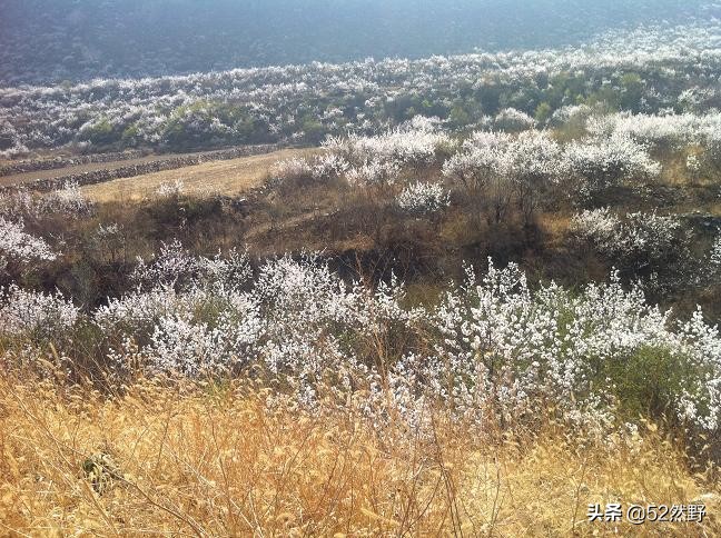 永定河北京的母亲河桑干河,桑干河与滹沱河