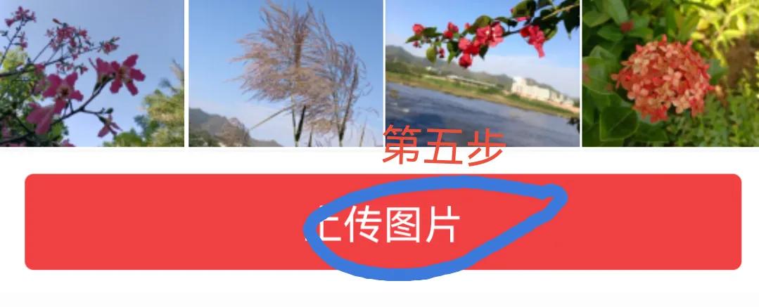 怎么把素材放到图片上去,怎样把图片上传到文档里