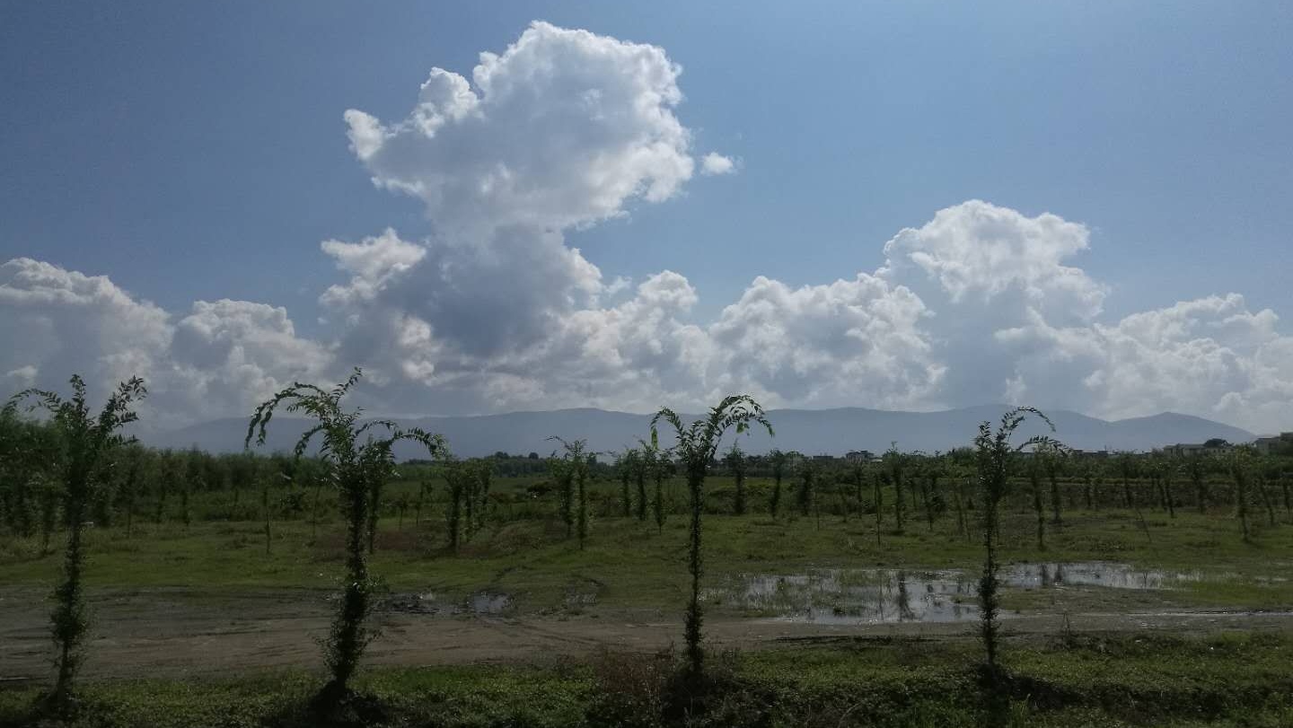 洱海海东租车店铺,环洱海游租车