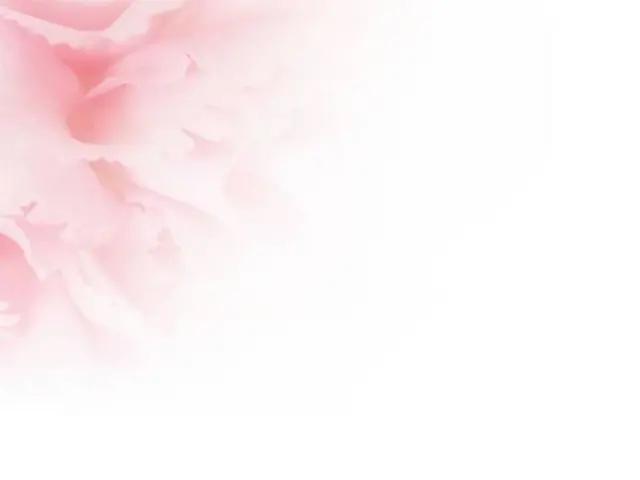 做ppt有什么好的背景图片,ppt背景图片无水印高清