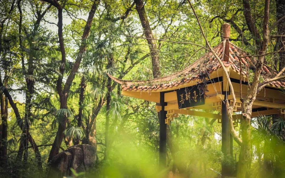 重庆师范大学2025年招生简章,重庆师范大学2020招生简章