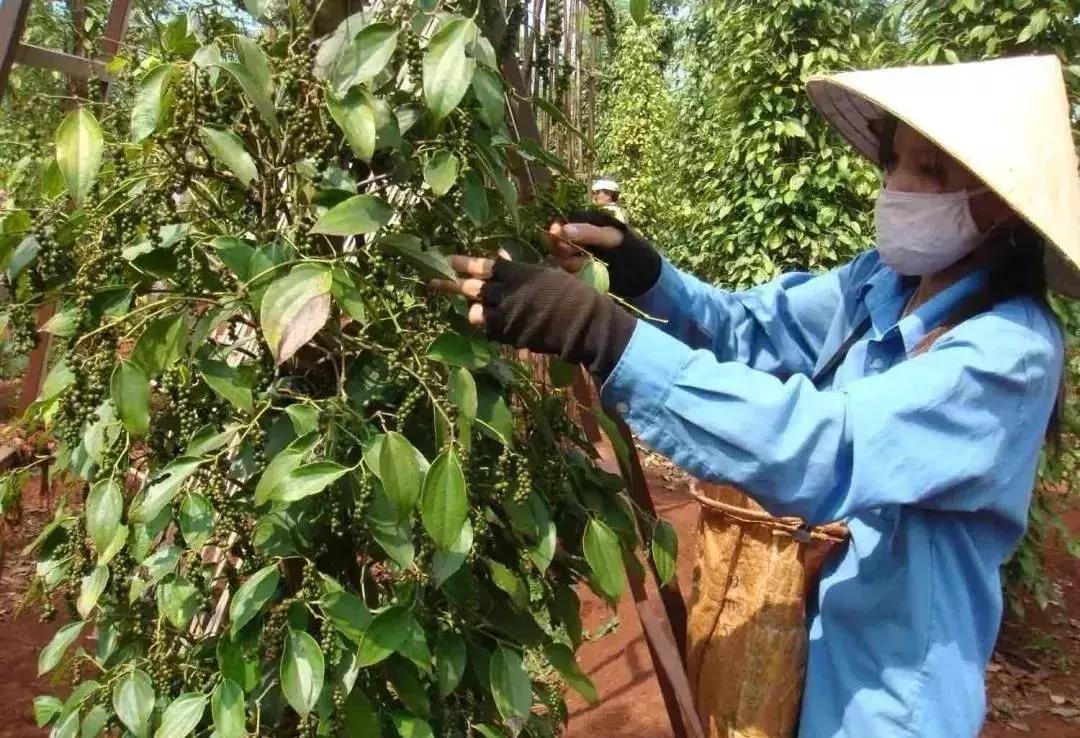 国庆人少自驾游推荐,国庆人少地方旅游推荐
