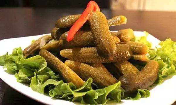 黄瓜的历史起源,黄瓜的祖先长啥样儿