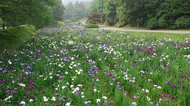 江苏园林旅游攻略,江苏有哪些免费园林景区
