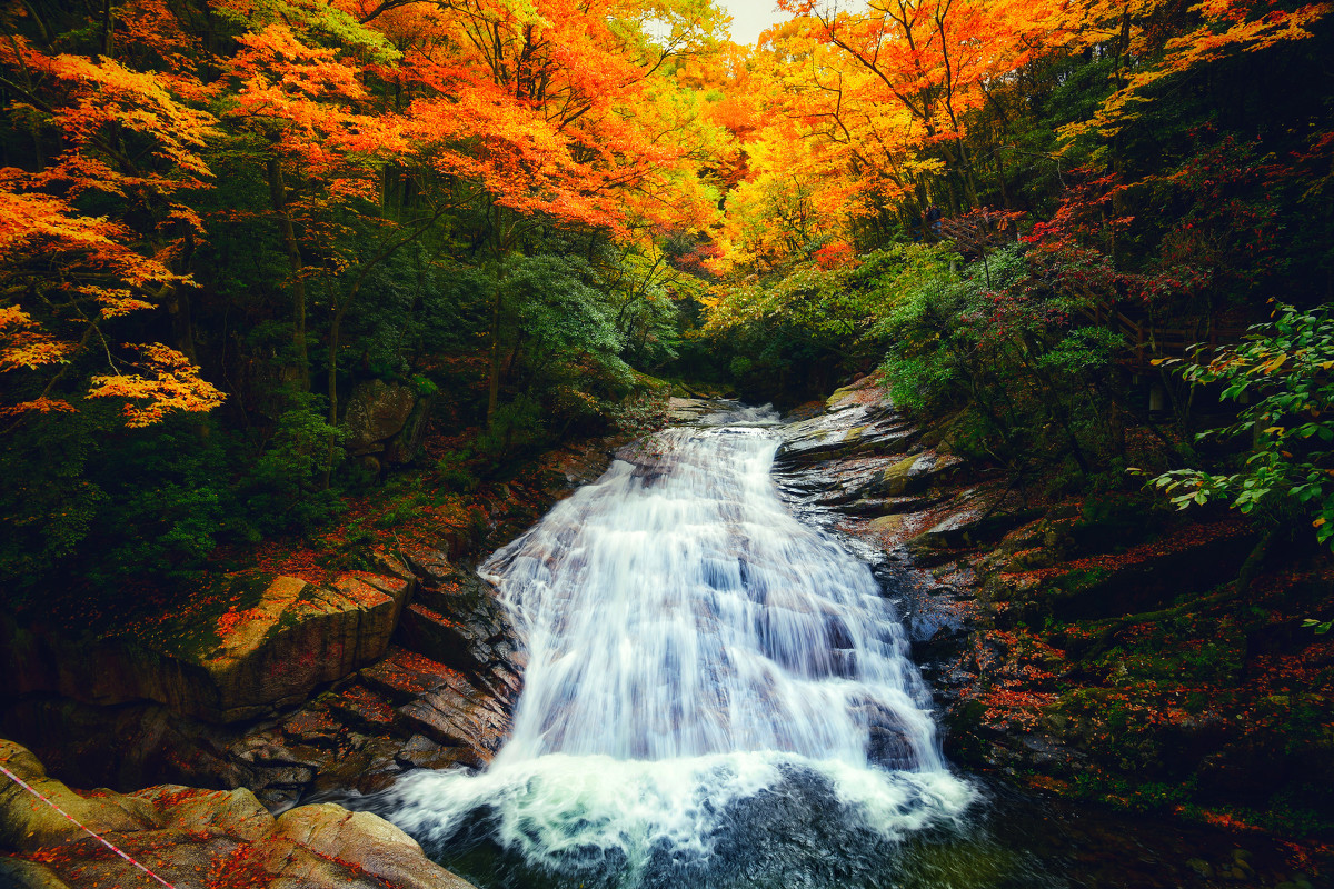巴中光雾山红叶的最佳时间,红叶谷打卡地
