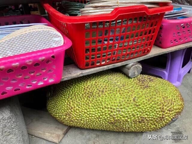 海南冬天最适合生活的地方,海南的冬天海滩