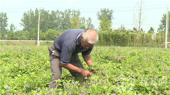 因“缘”而来，流“涟”忘返，醉美涟水欢迎你