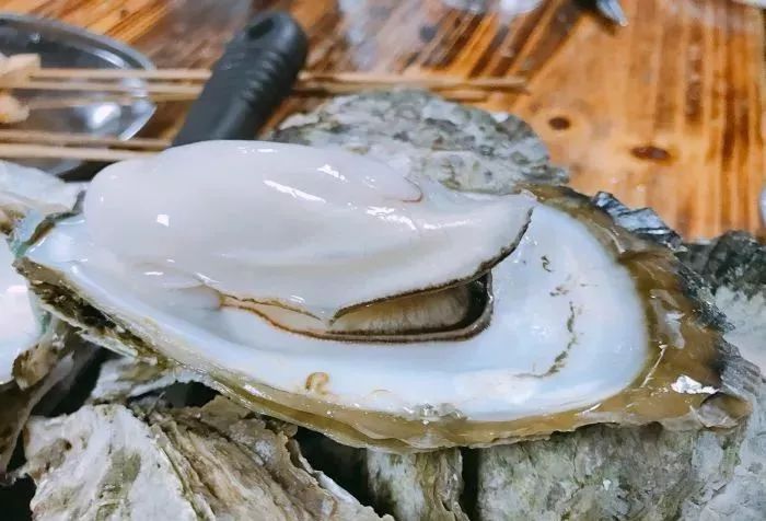 南宁最好吃的10家烧烤店,南宁生蚝哪最好吃