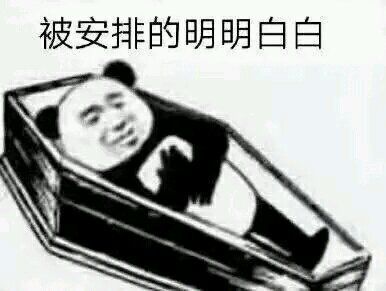 撑伞龙猫,意想不到的cos龙猫