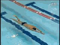 自由泳怎么提速最快最有效,自由泳提速的七个建议