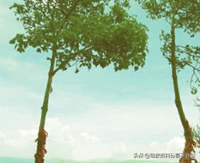 手指操简单易学好玩,好玩有趣的手指操