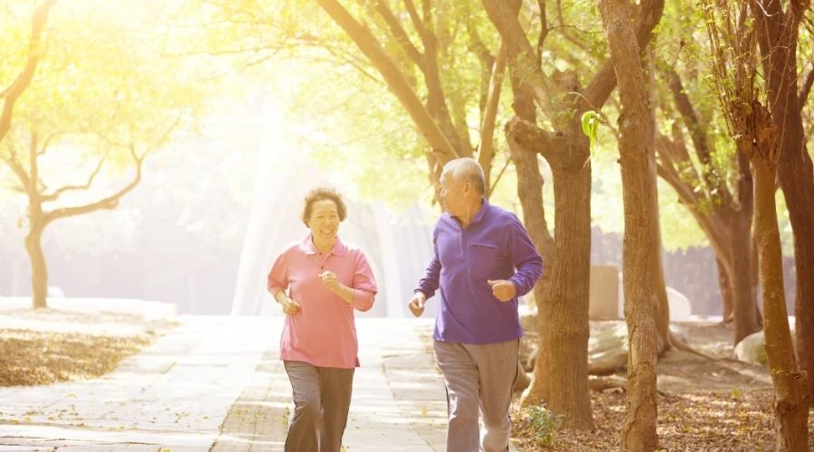 老年人健忘是老年痴呆症吗,老人家老是健忘怎么办