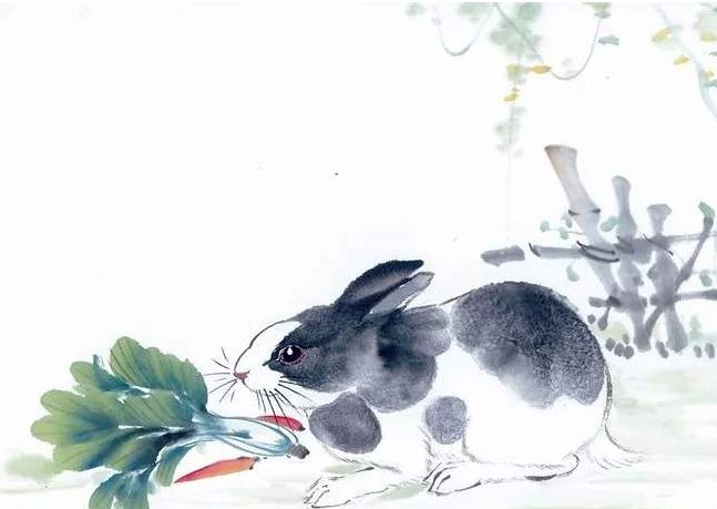 诗词里的十二生肖,十二生肖各有一首诗