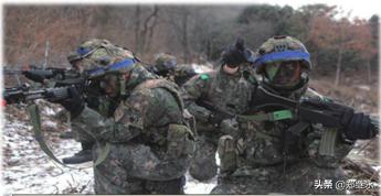 韩国陆军服役服,韩国陆军师标志