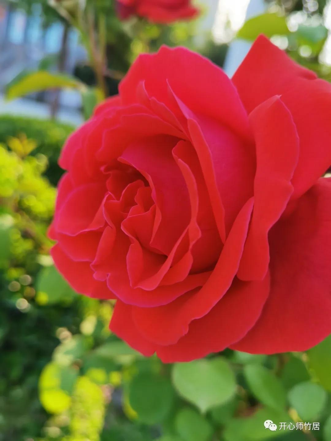 洛宁竹林一日游,竹林七贤魏晋风流全集