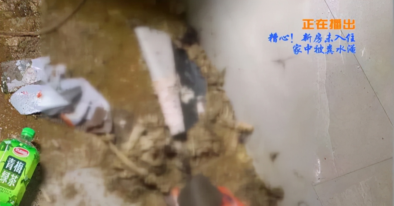 碧桂园在汉的维权之路