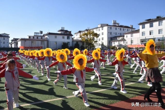 白大褂舞蹈教程,白大褂向日葵