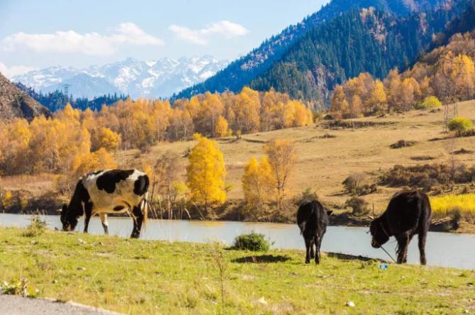 人生必须去的全世界50个旅游地点,人生必须去中国的五十个地方