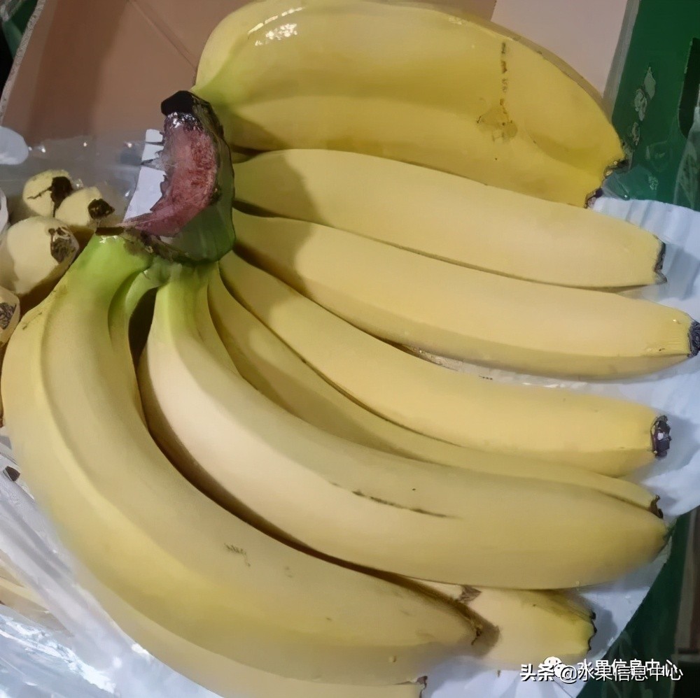 海南水果都有哪些品种图片及名称,海南水果上市时间表赶快收藏吧