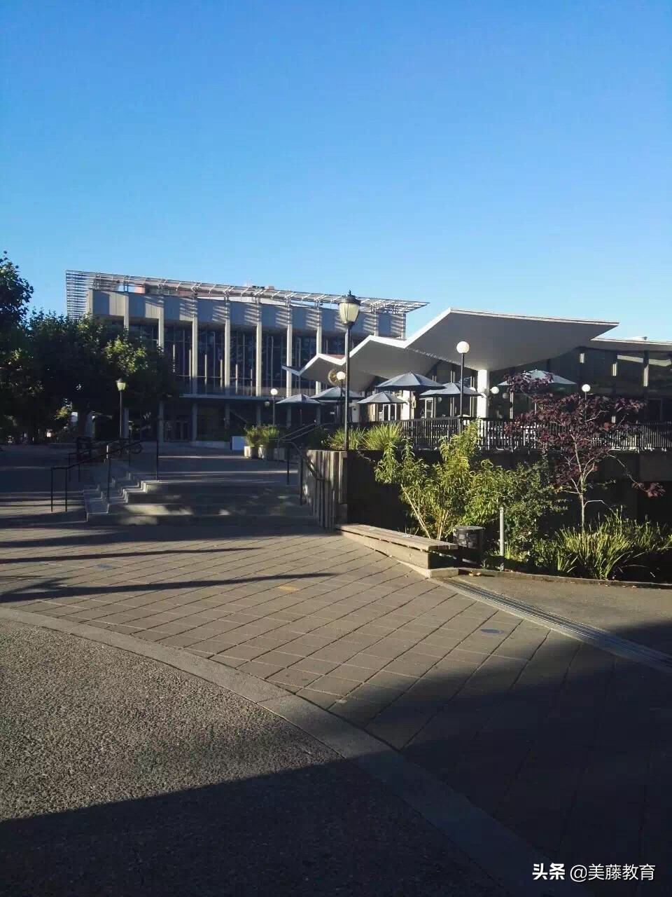 德克萨斯大学奥斯汀分校读研费用,德克萨斯大学奥斯汀分校优势专业