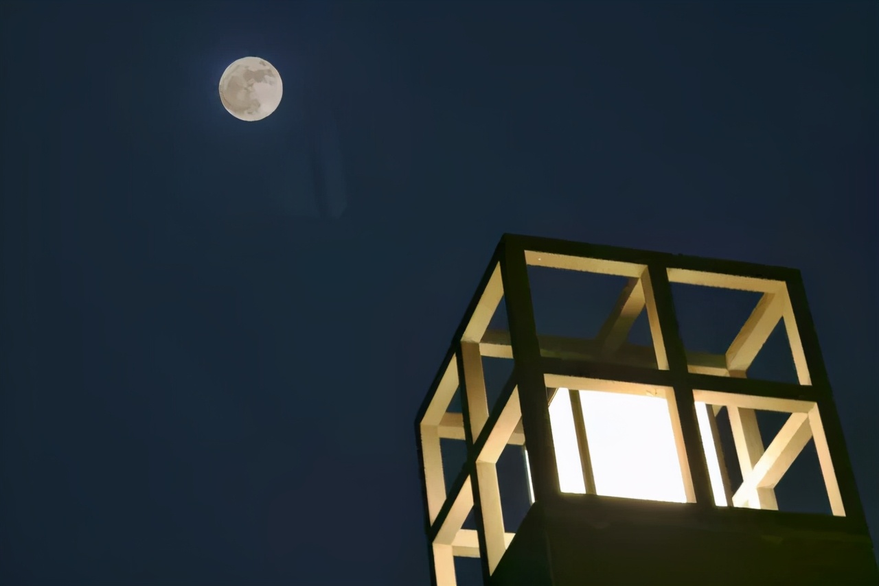 就业率100%,就业率100%大专