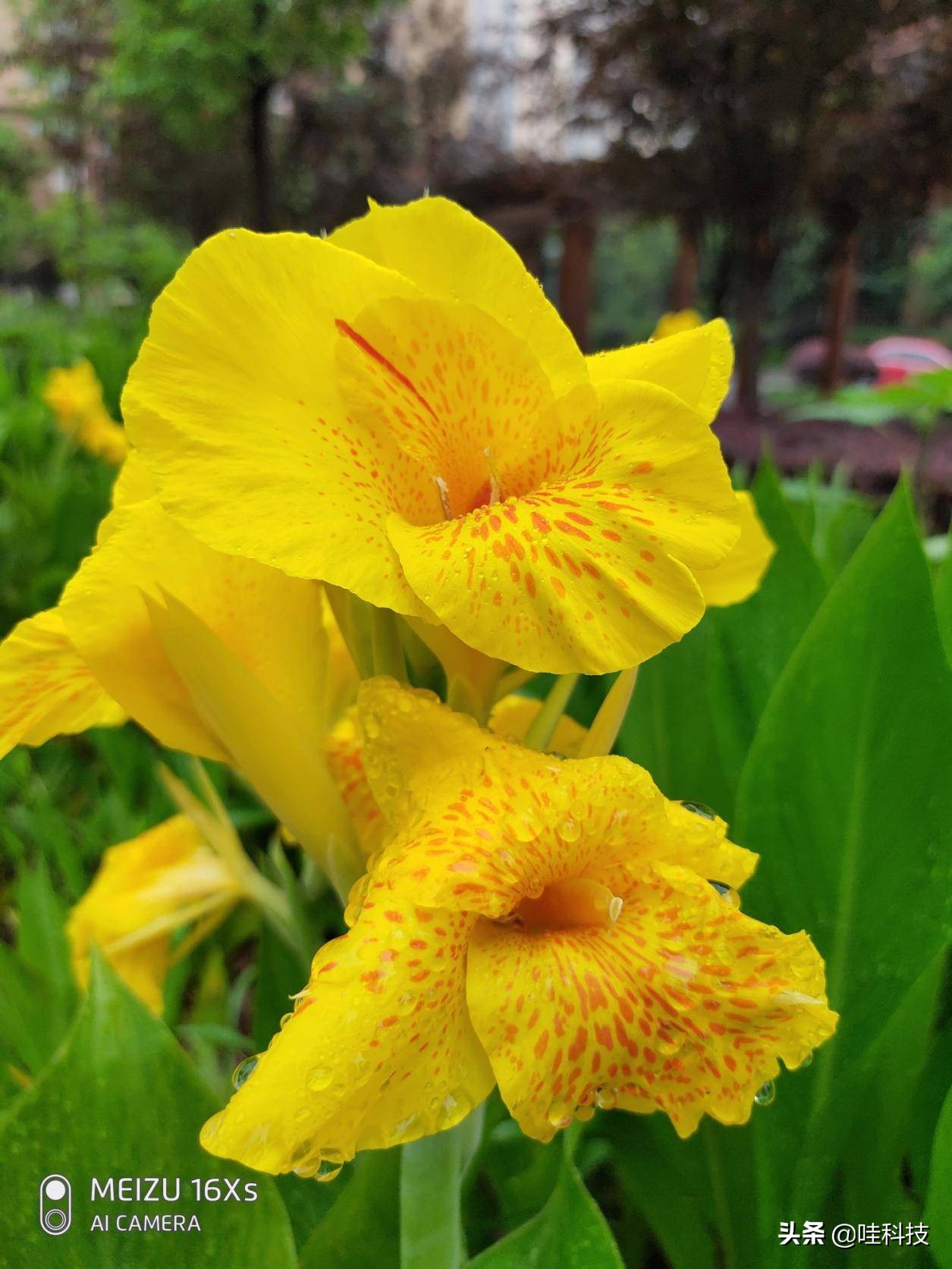 魅族16xs值得入手吗,魅族16xs深度评价