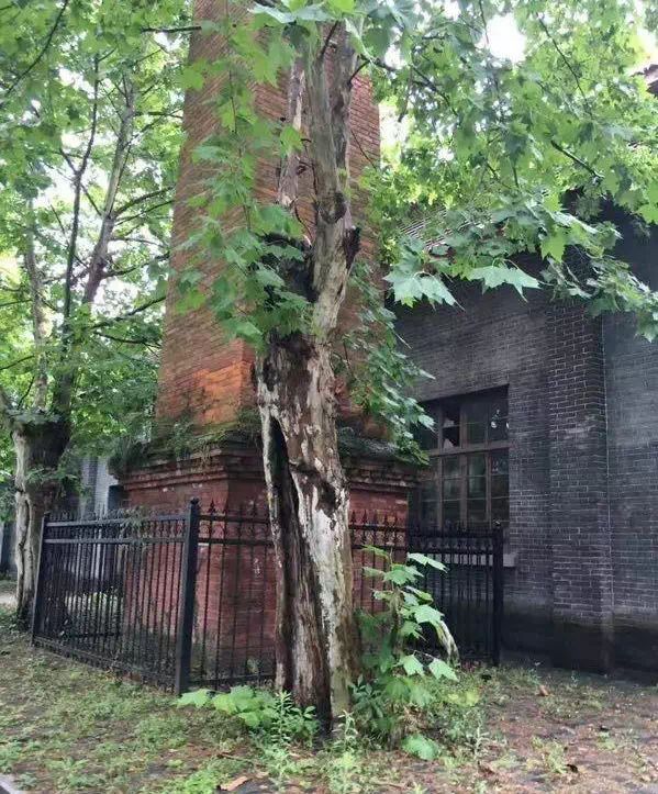 豫匠｜杨文宪一生专注做瓷一身硬气为人