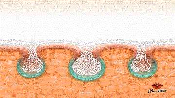 不打广告国货的洗发水品牌,国内从不打广告的国货