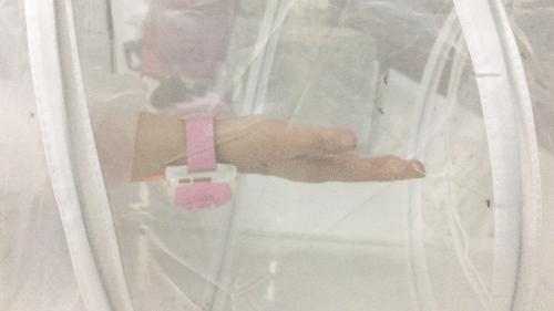 帕洛驱蚊手环老爸评测,驱蚊手环大测评